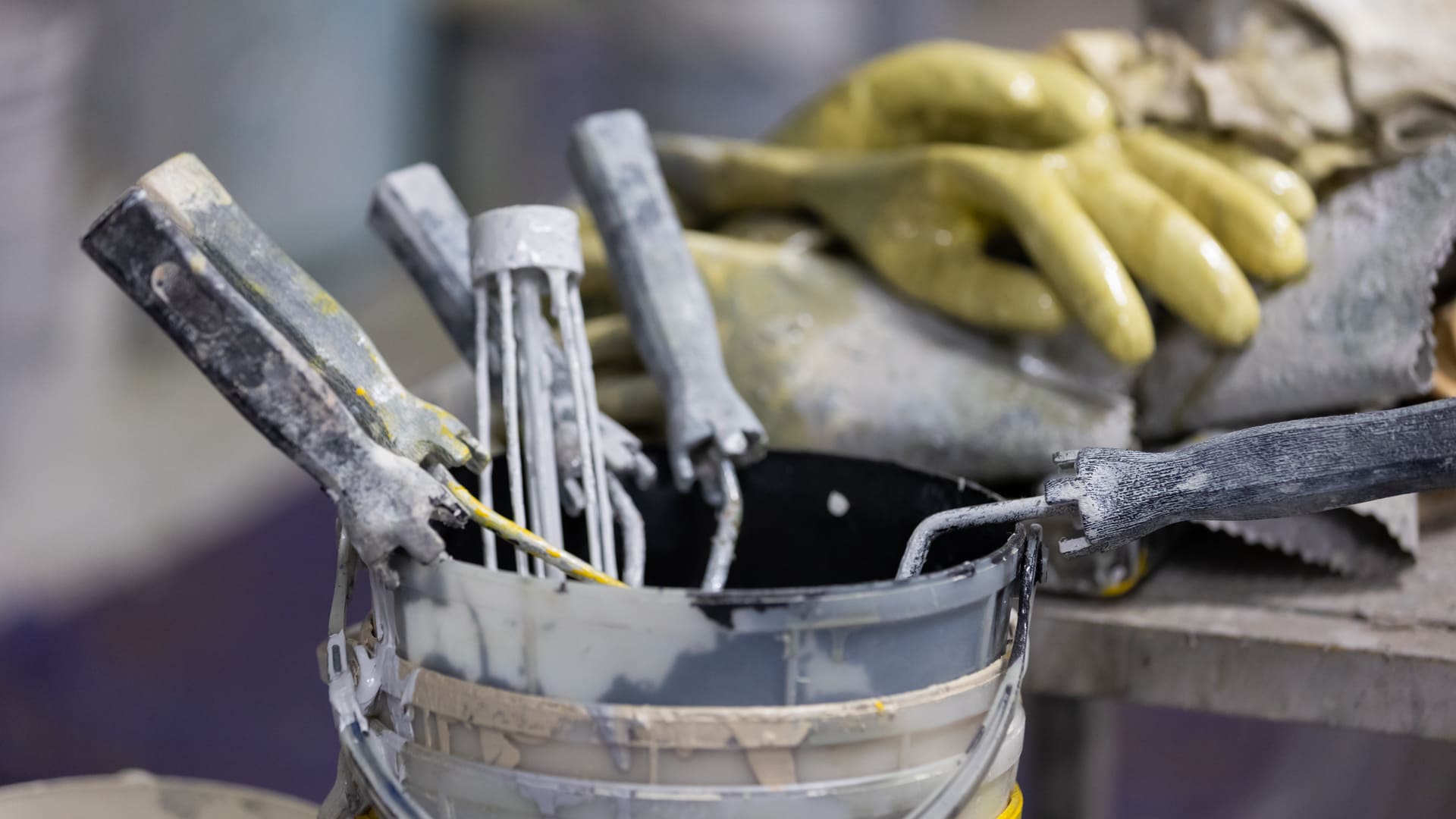 小林創業の画像ギャラリー02